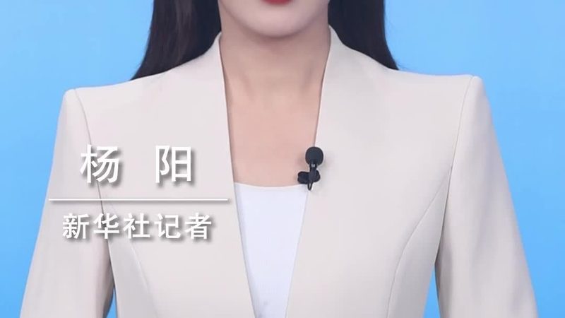 企业数据治理标准规范制定：关键步骤与要点解析